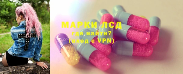 PSILOCYBIN Алзамай