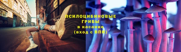 PSILOCYBIN Алзамай
