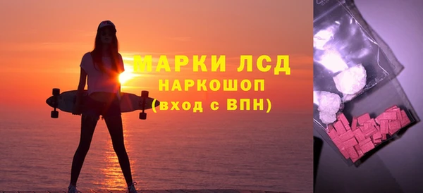 PSILOCYBIN Алзамай
