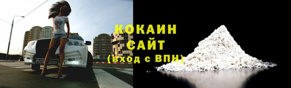 PSILOCYBIN Алзамай