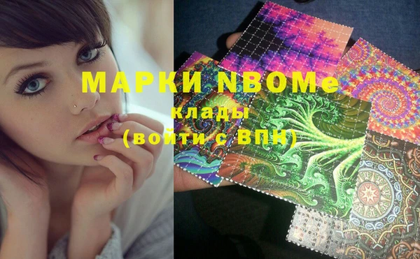 PSILOCYBIN Алзамай