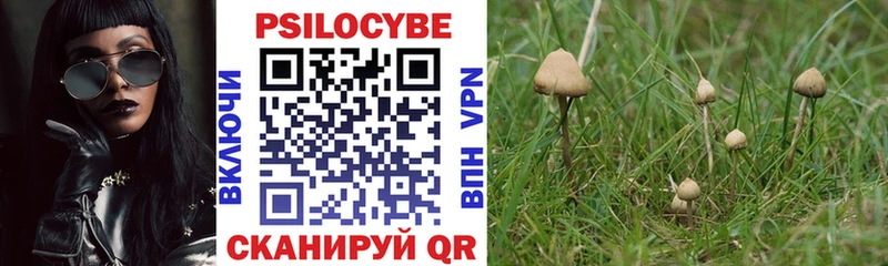 Псилоцибиновые грибы MAGIC MUSHROOMS  Петровск 
