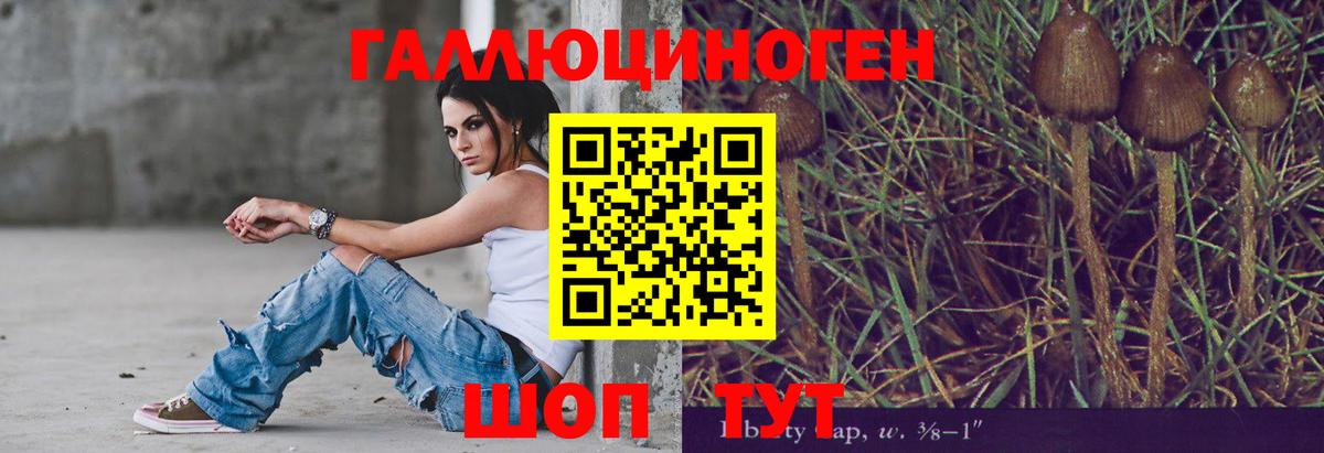 Галлюциногенные грибы Psilocybe  Вход с VPN  Петровск  Псилоцибиновые грибы Psilocybine cubensis 
