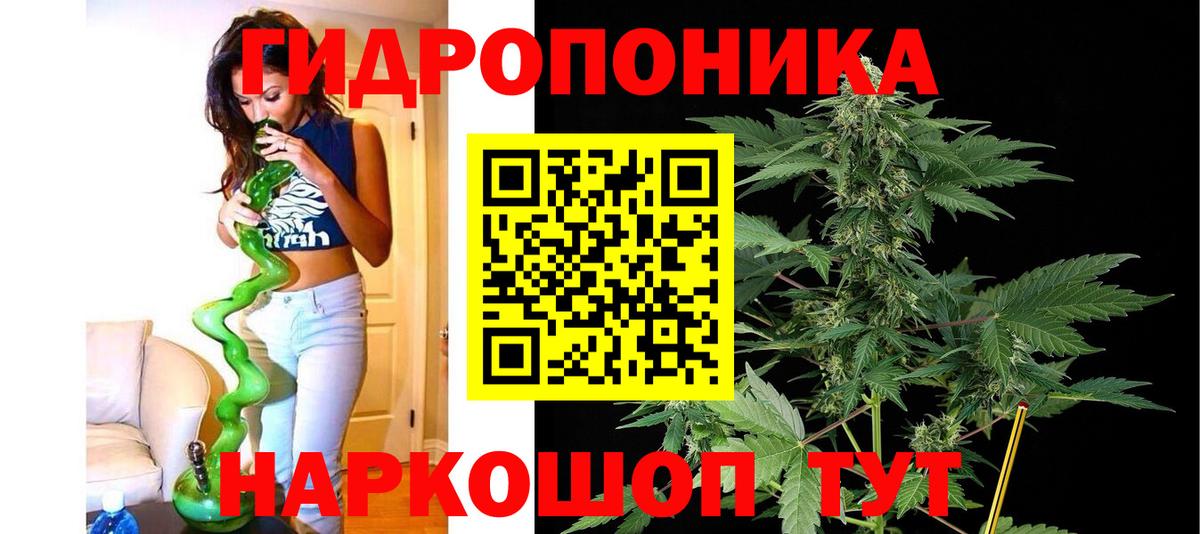 Шишки марихуана гибрид  Бошки марихуана OG Kush  Вход с VPN  Марихуана LSD WEED  Петровск 